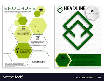 Brochure template flyer design background vector image