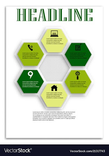 Brochure template flyer design background vector image