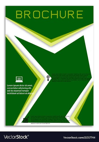 Brochure template flyer design background vector image