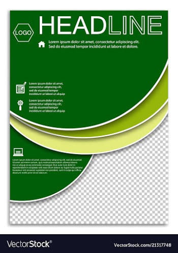 Brochure template flyer design background vector image