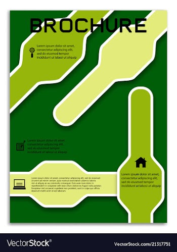 Brochure template flyer design background vector image