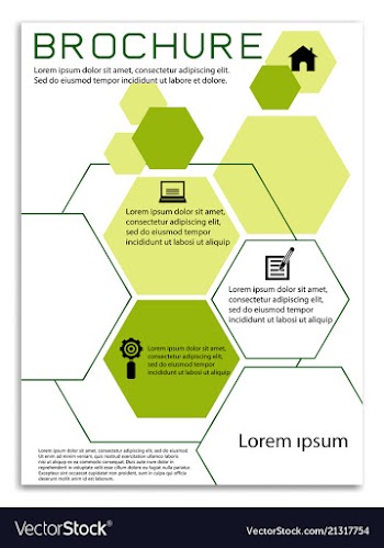 Brochure template flyer design background vector image