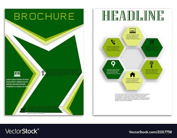 Brochure template flyer design background vector image
