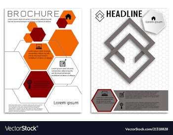 Brochure template flyer design background vector image
