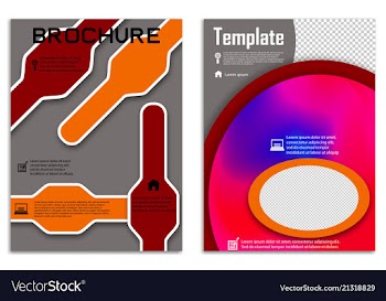 Brochure template flyer design background vector image