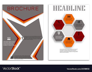 Brochure template flyer design background vector image
