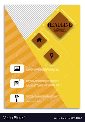 Brochure template flyer design background vector image