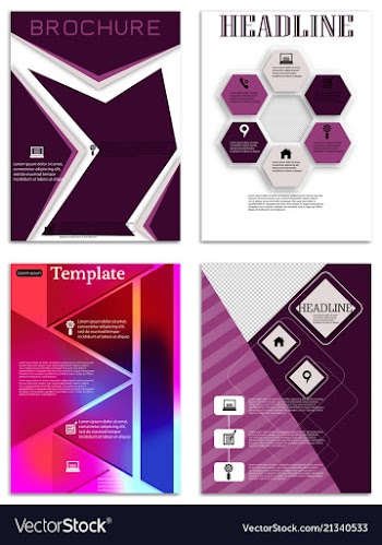 Brochure template flyer design background vector image