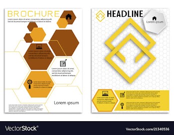 Brochure template flyer design background vector image