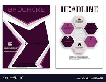 Brochure template flyer design background vector image