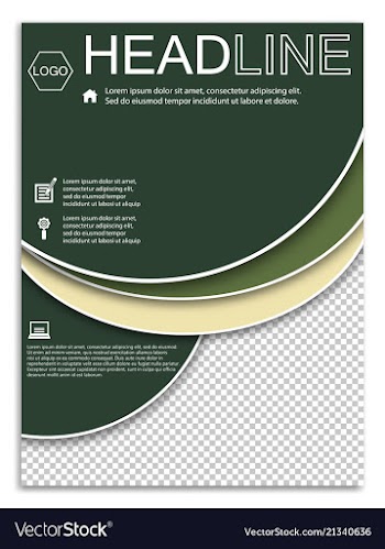 Brochure template flyer design background vector image