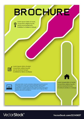 Brochure template flyer design background vector image