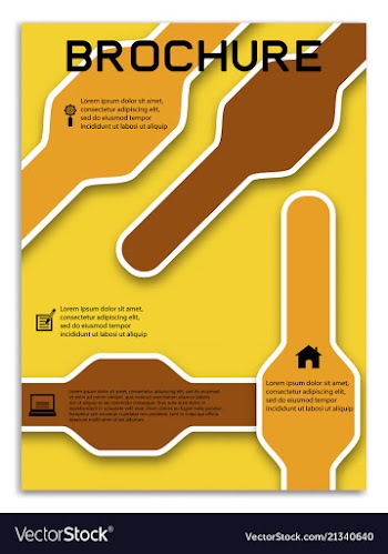Brochure template flyer design background vector image