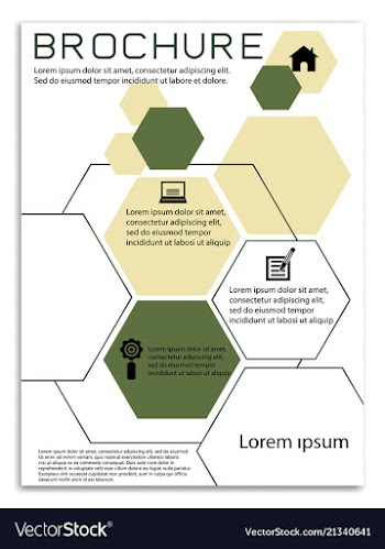 Brochure template flyer design background vector image