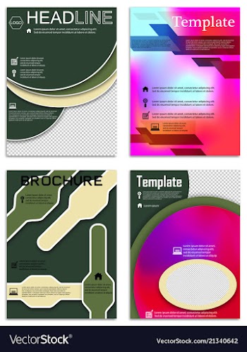 Brochure template flyer design background vector image