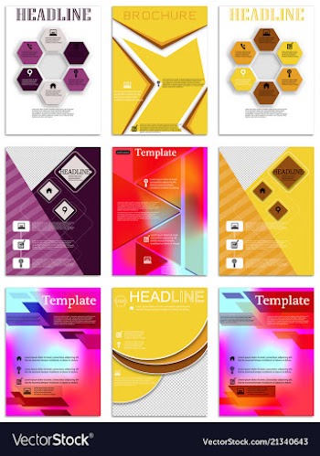 Brochure template flyer design background vector image