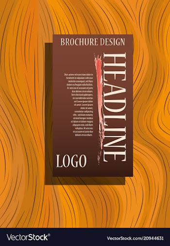 Brochure template layout cover design annual vector image