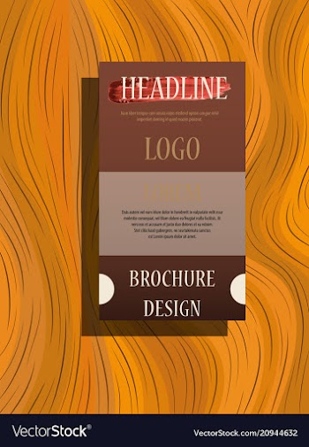 Brochure template layout cover design annual vector image