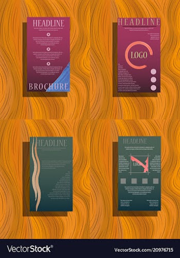 Brochure template layout cover design annual vector image
