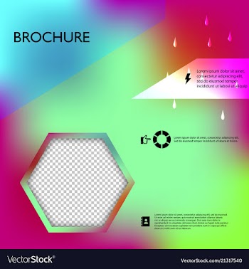 Brochure template layout design corporate vector image