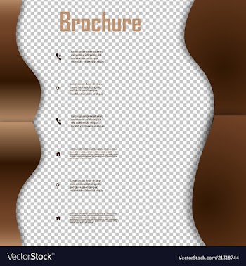 Brochure template layout design corporate vector image