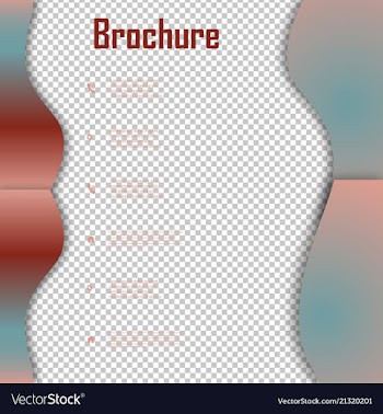 Brochure template layout design corporate vector image