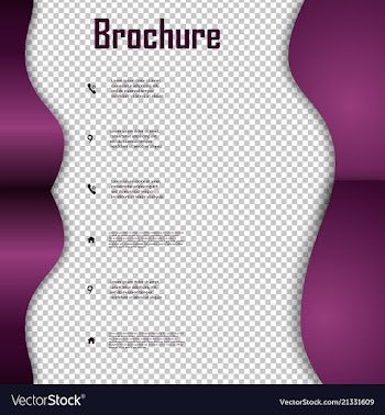 Brochure template layout design corporate vector image