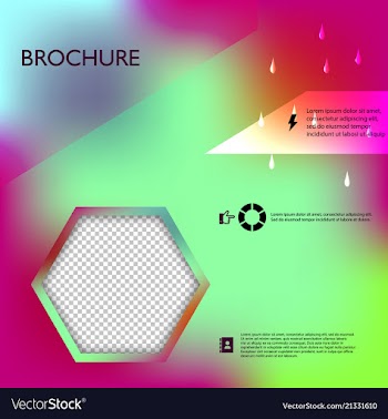 Brochure template layout design corporate vector image