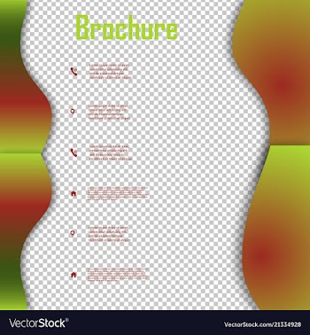 Brochure template layout design corporate vector image