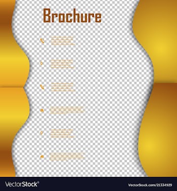 Brochure template layout design corporate vector image