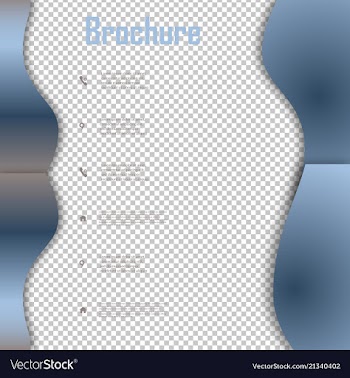 Brochure template layout design corporate vector image