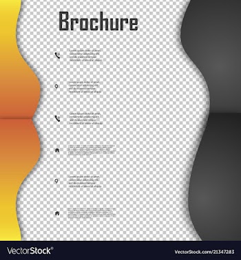 Brochure template layout design corporate vector image