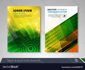 Brochures and flyers template design vector image