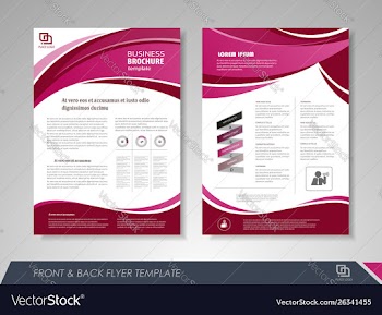 Brochures and flyers template design vector image