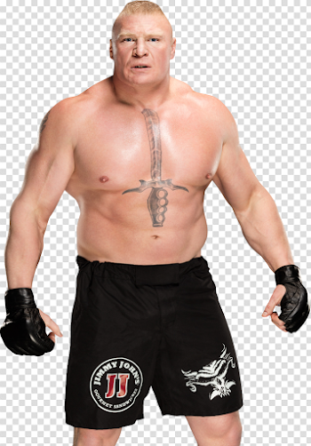 Brock Lesnar 2017 PNG by AmbriegnsAsylum16 on DeviantArt
