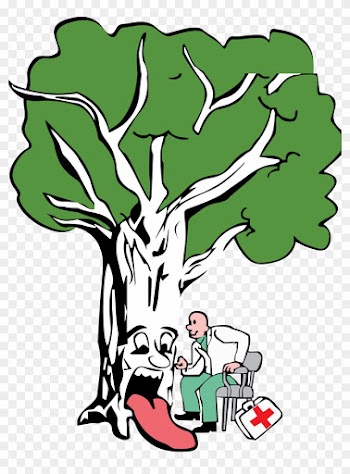 Brockley Tree Service