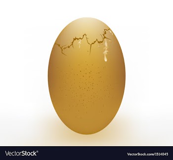 Broken egg on a white background vector image