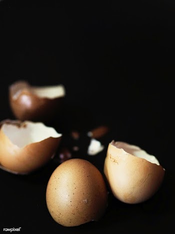 Broken egg shells | Free stock photo - 327809