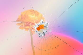 Broken glass psd effect gradient flower… | Free stock illustration | High Resolution graphic