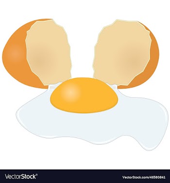 broken hen egg with egg yolk and white