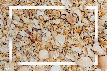 Broken seashell patterned card | Free stock psd mockup - 599756