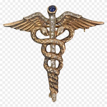 Bronze Snake Medical Symbol