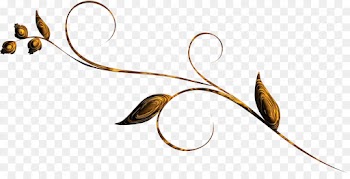 Bronze, Swirl, Download, Leaf, Plant PNG