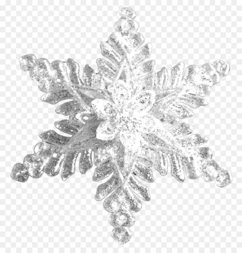 Brooch Jewellery Clip art Christmas Day Christmas ornament - jewellery 