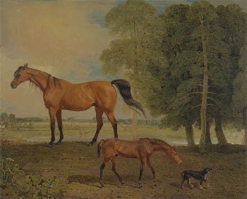 Broodmare with Foal, and a Terrier | Free Photo - rawpixel