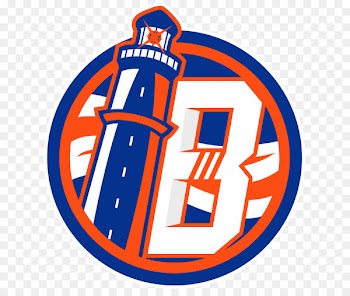 Brooklyn New York Islanders New Jersey Devils Logo NHL Stadium Series - barclays pattern 