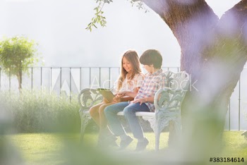 Brother and sister using digital tablet on bench in sunny backyard
