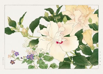 Browallia & ibiscus flower woodblock | Free Photo Illustration - rawpixel