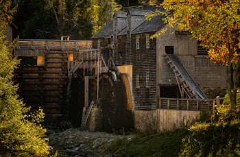 Brown 2-storey Building Covered With Forest