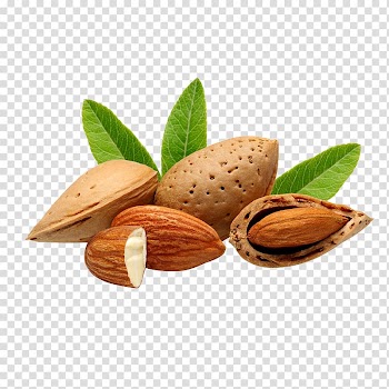 Brown almonds, Bajaj Almond Drops Hair Oil Nut Bajaj Almond Drops Hair Oil Food, walnut transparent background PNG clipart